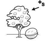 Arasaac 150-ccac6f472afdca5936d3c3442e981e94