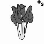 Arasaac 150-8a077416902631d02c0e23cc879a5e45 Arasaac 150-8a077416902631d02c0e23cc879a5e45