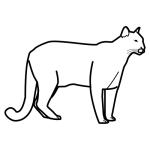 Arasaac 150-2b0d1897b7f2d923cf8a937392412ed0