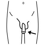 Arasaac 150-4d1b47c5b4341f9a2edd33e3da96242f