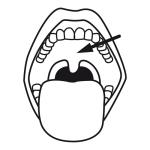 Arasaac 150-119a71a74f26129680ce6d46f448cecd