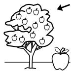 Arasaac 150-7b25c993641ed8ba88d3ff8ad41ea976