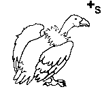 Arasaac 150-951d6a3f7e47566b48c2cac28be3dbd1