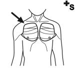 Arasaac 150-31bf5697bbfa91e1dff2f2019d802a30