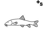 Arasaac 150-9d07919626befc1bbe9d2b87fd59189a Arasaac 150-9d07919626befc1bbe9d2b87fd59189a