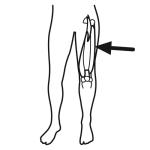 Arasaac 150-9cc4fda6d6879acdb168b2e99da4318d