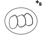 Arasaac 150-b94a7d40fb5ebd33546b3be675880ae4 Arasaac 150-b94a7d40fb5ebd33546b3be675880ae4