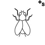 Arasaac 150-821e4006311eb1b1c15658403cdac307