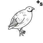 Arasaac 150-900c9c7ba60b7a3c78936758d9300af1