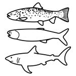 Arasaac 150-b6e7130e6dd1484d07bcc63f26ab7d36