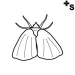 Arasaac 150-2e943ee1d02b98f76eab55d2c7138d6d