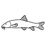 Arasaac 150-bea0d8372ddd77e0eb1bfb9a59a710a Arasaac 150-bea0d8372ddd77e0eb1bfb9a59a710a