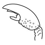 Arasaac 150-a550b434bf698a36bf2b6a5e00785f11