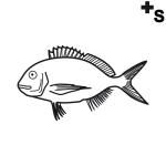 Arasaac 150-6775c0f3316b0afe5f8bcc04e1ee0be0