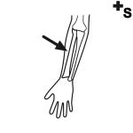 Arasaac 150-9038f38ce16e24828132b64ca6f6c0