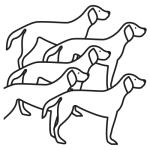 Arasaac 150-312eea54d81577be9eabf317c126072