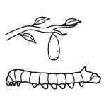 Arasaac 150-e8b260be06f5120d258ce1740f215119