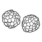 Arasaac 150-f8bd0a9cc7be31de75c6de32aaf2a889