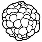 Arasaac 150-32f2fb28ceb394340fd060f7e7ff2cf0