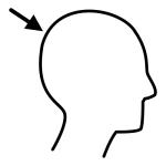 Arasaac 150-2db3a235499422ea182fe0acb07cb693