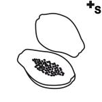 Arasaac 150-a69067d4c604903e3428f616a676b9bc