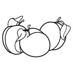 Arasaac 150-abf501def5476e1333e378ad89506dce