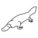 Arasaac 150-b6a54ddb34f746cd35bc4fffff00807