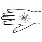 Arasaac 150-efade12a0cfb1862bb517cfc0799c50a