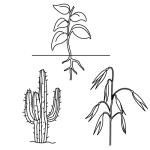 Arasaac 150-5e1ce7dbba0a3c8ab8281f8f51c64401