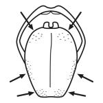 Arasaac 150-66f25101a5a8ddbf65e5ea9854899498