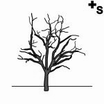 Arasaac 150-9d9bfd010fbf5810d30af01d7f8855b9