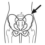 Arasaac 150-ec3a515a82f51c486b22314c978ad199