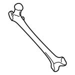 Arasaac 150-ba84639ee2ef0817a9b13f8d1fdb2653