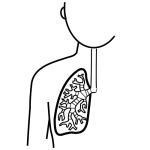 Arasaac 150-7b1b5996996492dee20422ab2cba30a9