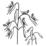 Arasaac 150-79fec4ac2027925e53fffa2de8668bd2