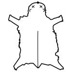 Arasaac 150-cab15bd800357978fd51ecf39d897704