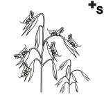 Arasaac 150-aa92339f49693449bf85ecfec174230d