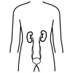 Arasaac 150-b7c56ad62b54dfa3b1970d7be660f853