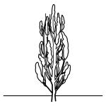 Arasaac 150-afa75893c07b40502e8a07cc3025918c