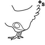 Arasaac 150-8048abec61c3479ab45bf6c5aeab3b77