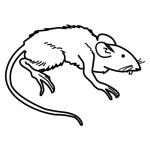 Arasaac 150-b00166743fe1c56cffc50a955083dd0f