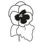 Arasaac 150-1c01ca617cb906aa1f0d80c7085a6a86