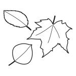 Arasaac 150-519b7bbee45bd34bf219af13acce9d6f