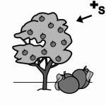 Arasaac 150-21b70d8832832ddcdec14f6f57a6899d