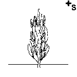 Arasaac 150-8a56955d8ea00b20f0d9f432b7eea22c