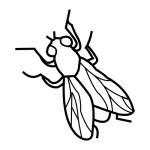 Arasaac 150-6200afaba0922a376237b91675274a0b