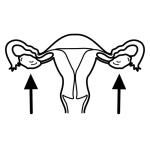 Arasaac 150-d415f9bb1694f34e60cc6e2360f70f63