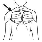 Arasaac 150-b125fea56dc75a66b5933ecbb8ff5a4d