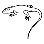 Arasaac 150-21ea9ff0b6f0722a087f0716278e5fc2