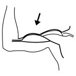 Arasaac 150-bd957033f8f89ebfebc1e992bfc7aa91